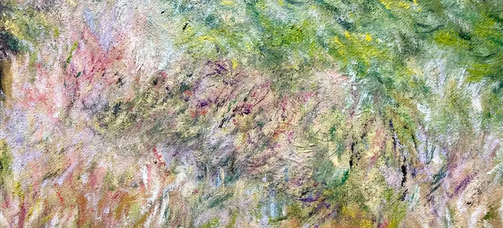Détail de la Promenade sur la falaise : les herbes
