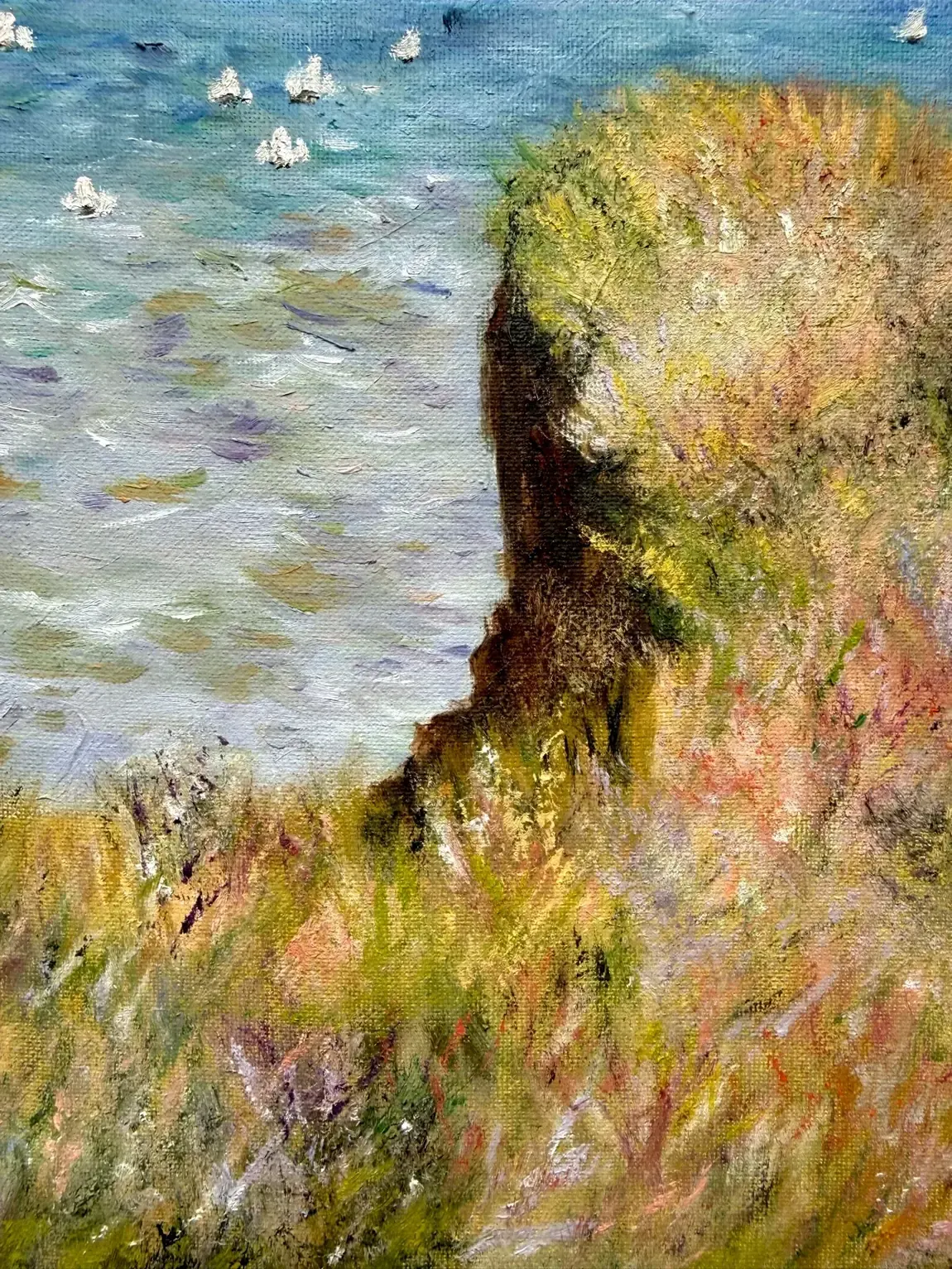 Détail de la Promenade sur la falaise : la roche et les mouettes