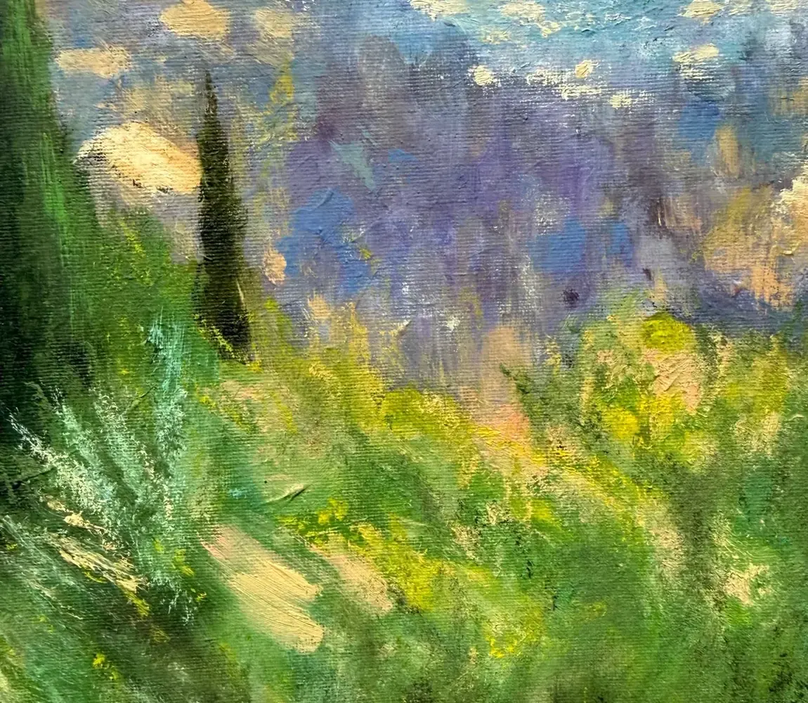 Détail du Paysage de Provence : la garrigue